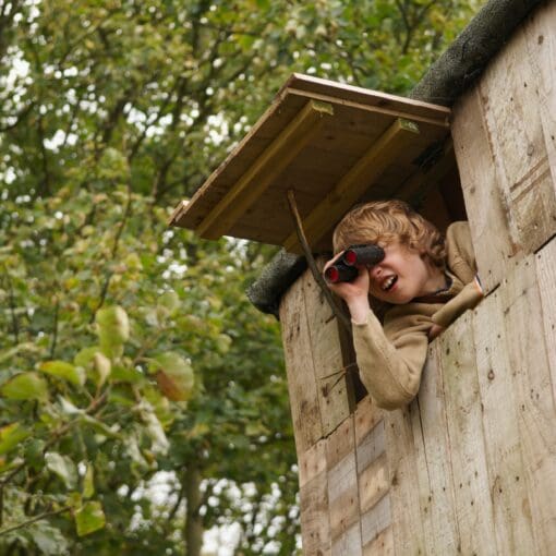 Boy With Binoculars In Treehouse
