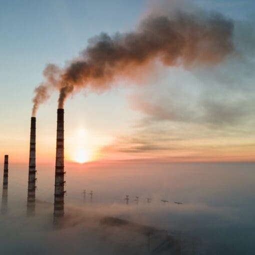The Impact of Environmental Factors on Fertility The Impact of Environmental Factors on Fertility