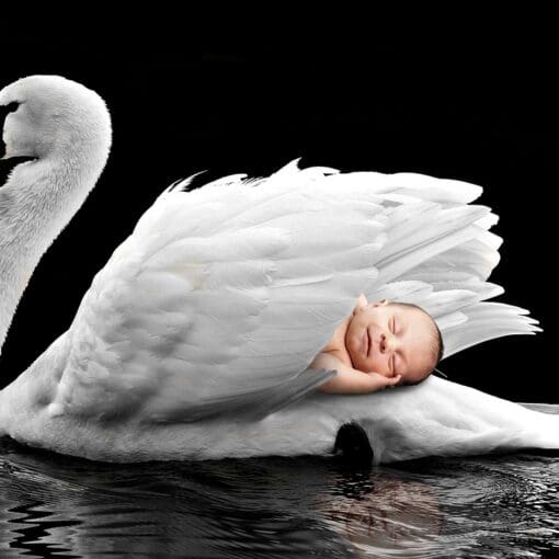 The Impact of Pregnancy on Sleep: Tips for Better Rest The Impact of Pregnancy on Sleep: Tips for Better Rest