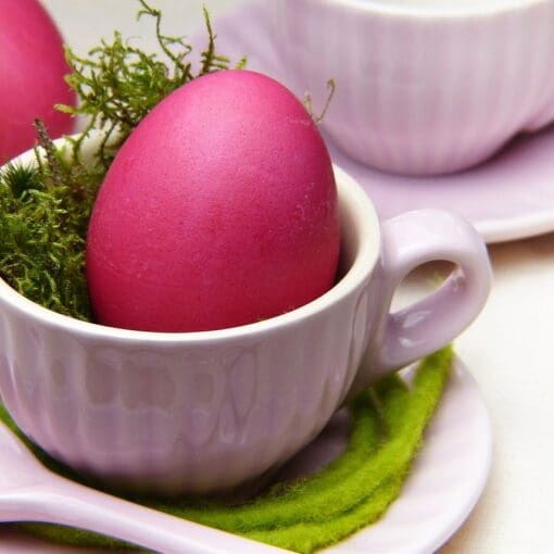 The Surprising Link Between Diet and Fertility The Surprising Link Between Diet and Fertility