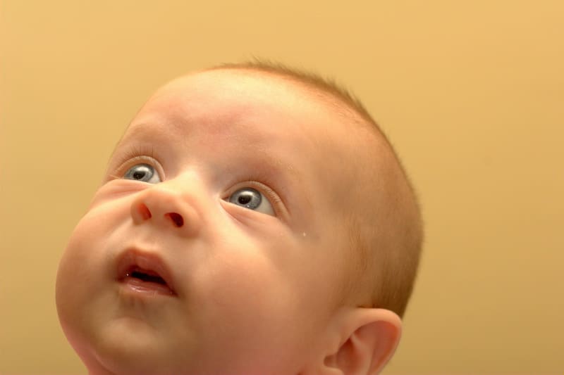 Early Pregnancy Symptoms and Signs Early Pregnancy Symptoms and Signs