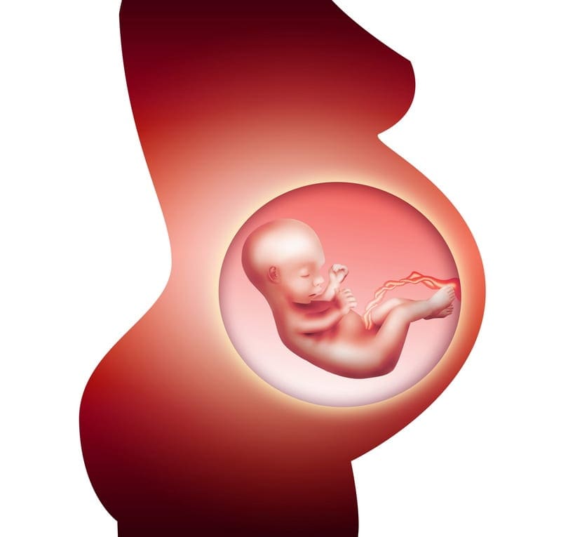 The Blessings (And Curses) Of Pregnancy The Blessings (And Curses) Of Pregnancy